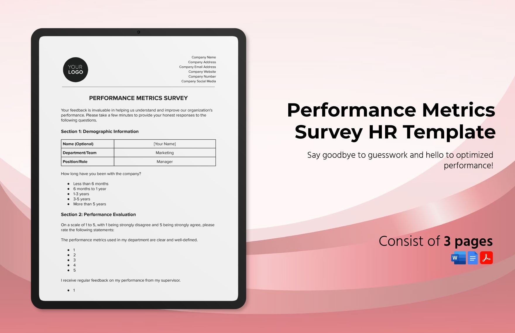 Performance Metrics Survey HR Template