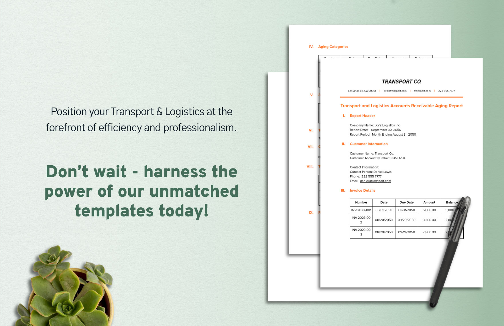 Transport and Logistics Accounts Receivable Aging Report Template