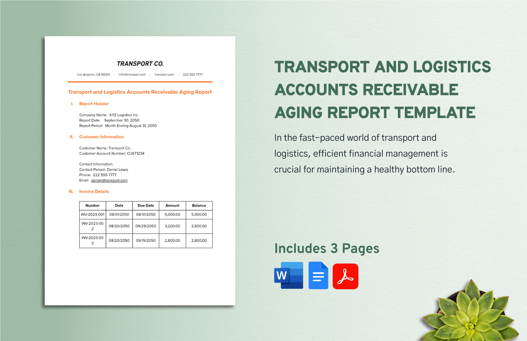 Transport and Logistics Accounts Receivable Aging Report Template in Word, Google Docs, PDF