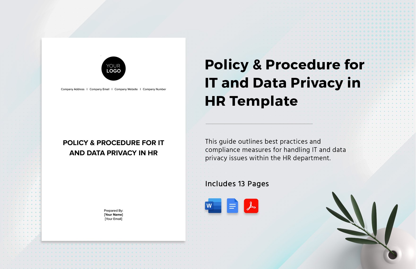 Policy & Procedure for IT and Data Privacy in HR Template