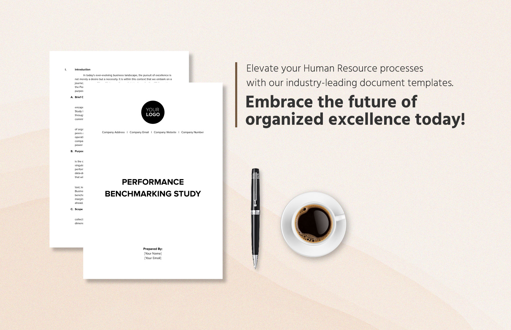Performance Benchmarking Study HR Template