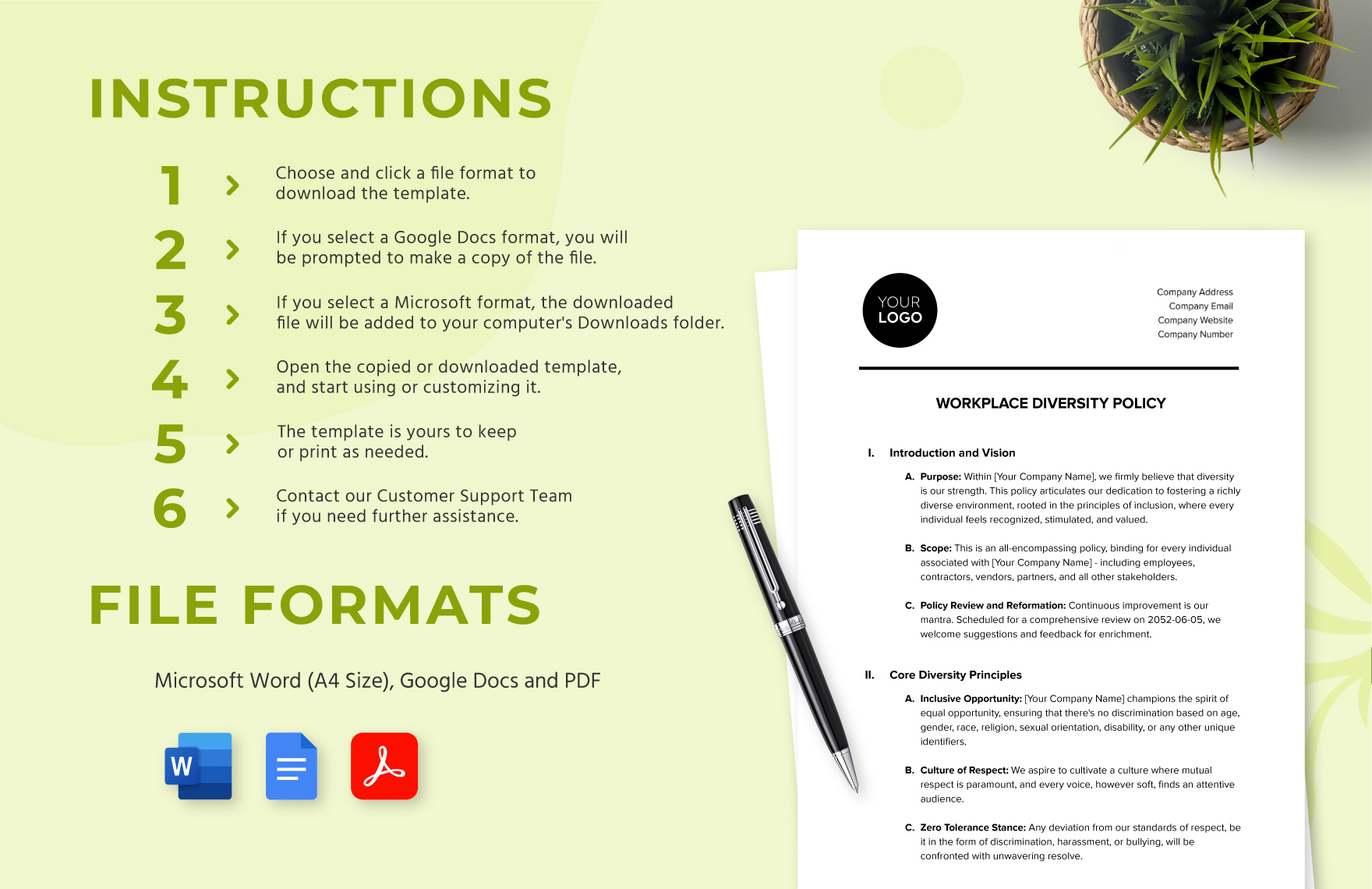 Workplace Diversity Policy HR Template