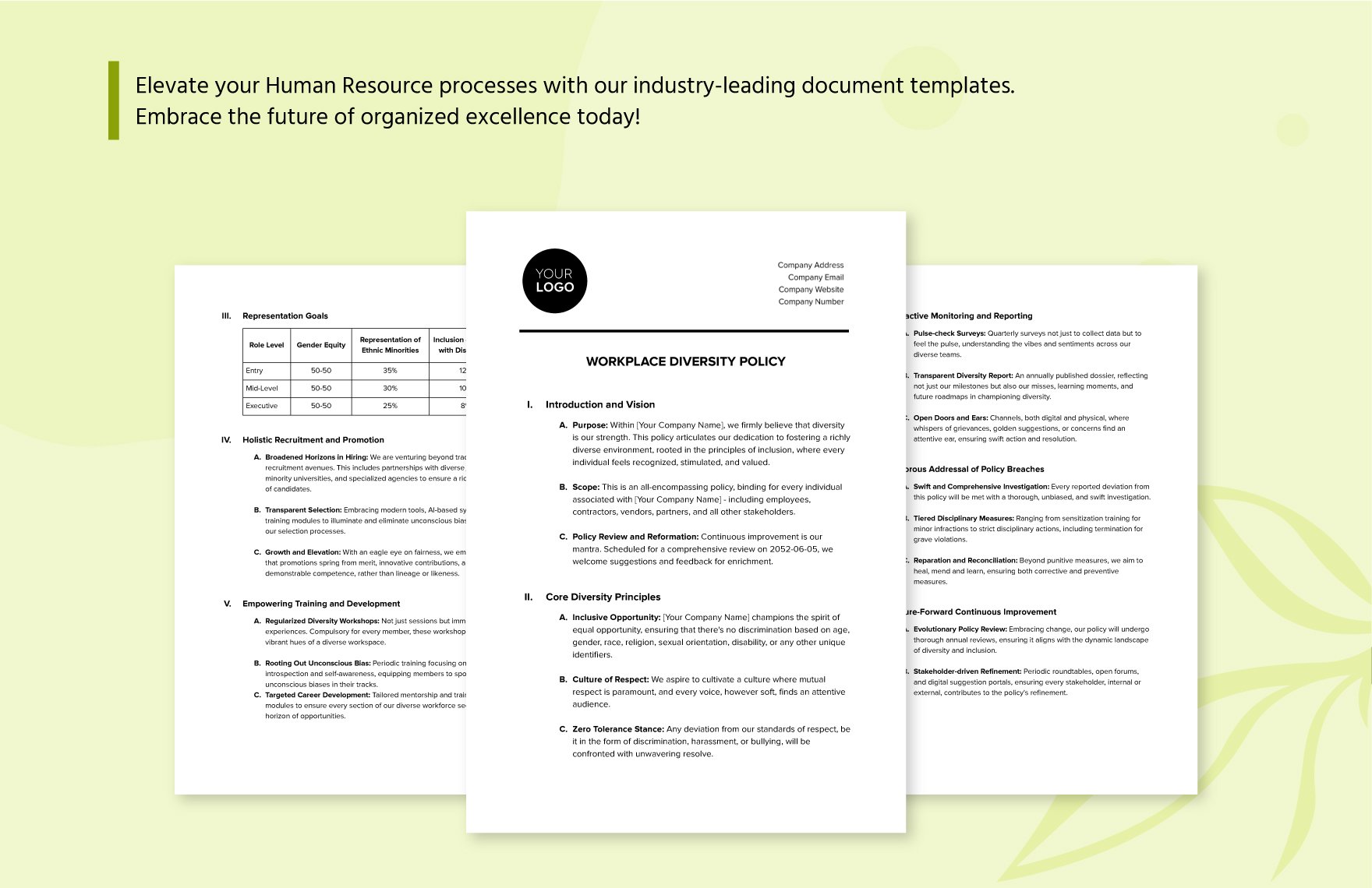 Workplace Diversity Policy HR Template