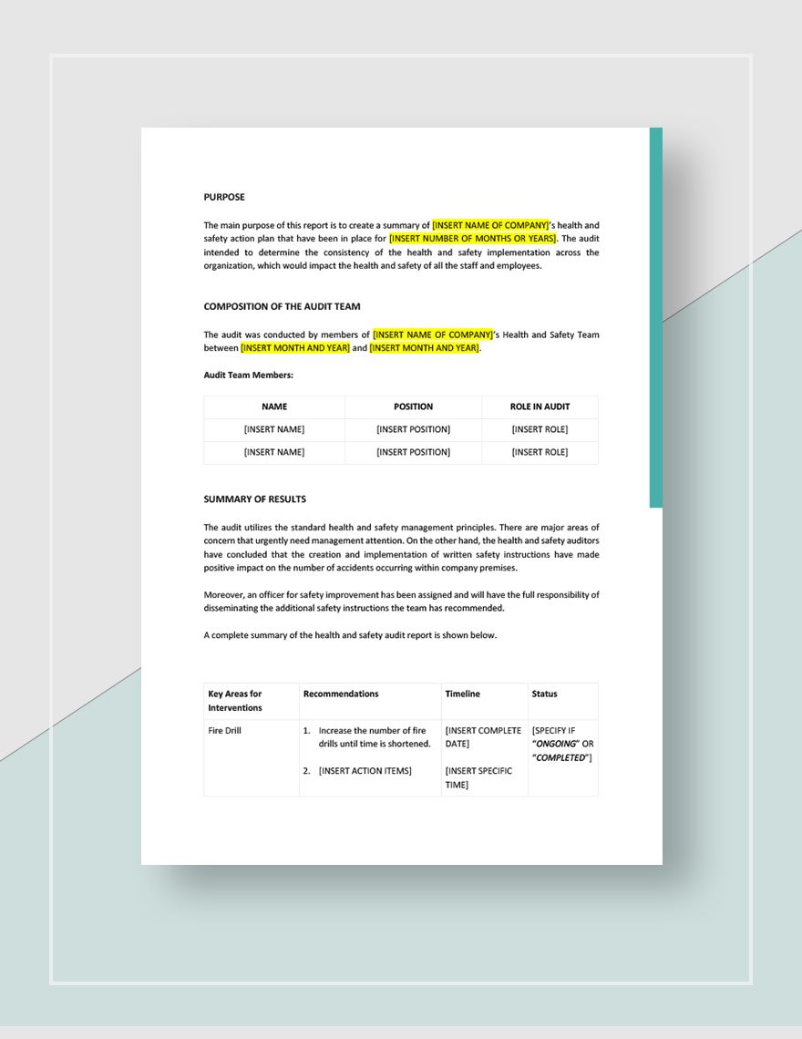 Health and Safety Audit Report Template