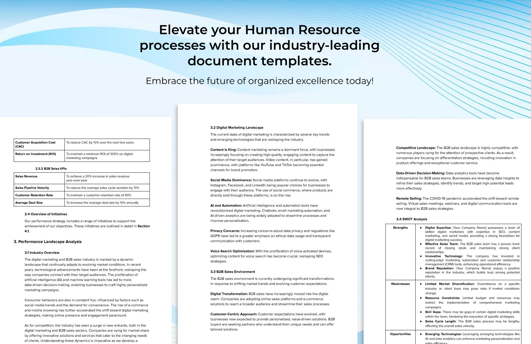 Long-Term Performance Strategy Document HR Template
