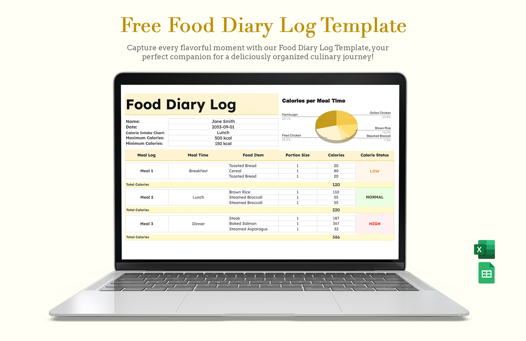 Food Diary Log Template In Excel Google Sheets Download Template