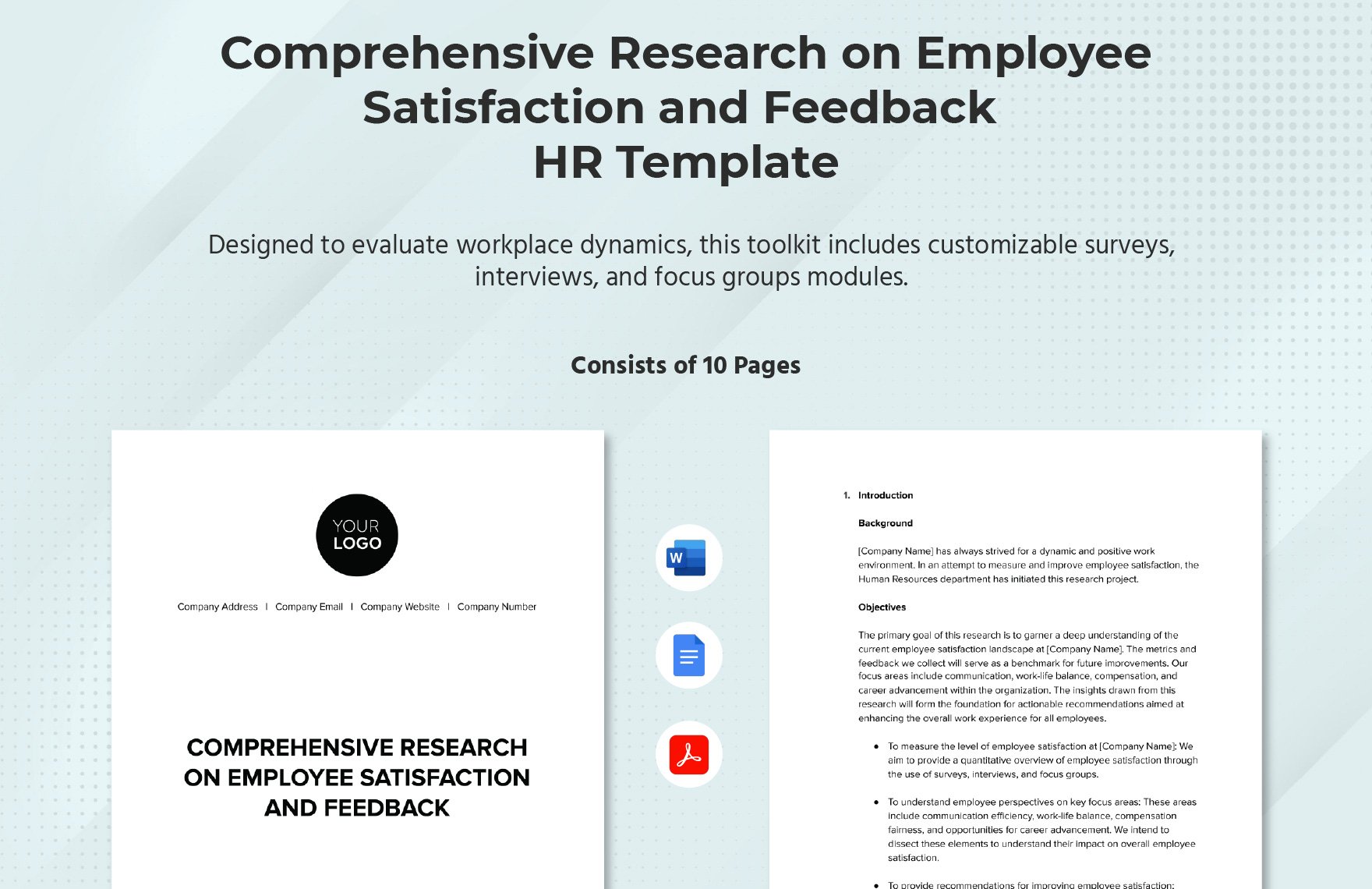 Comprehensive Research on Employee Satisfaction and Feedback HR Template