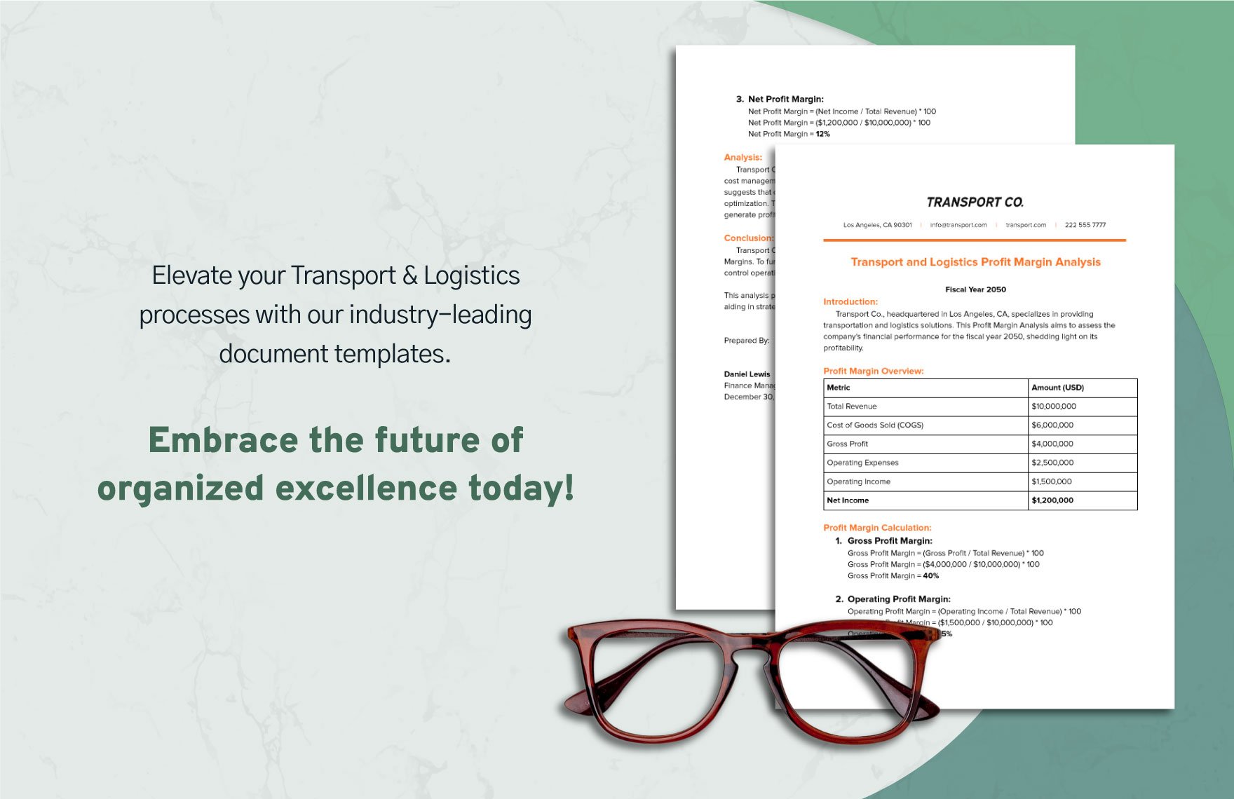 Transport and Logistics Profit Margin Analysis Template