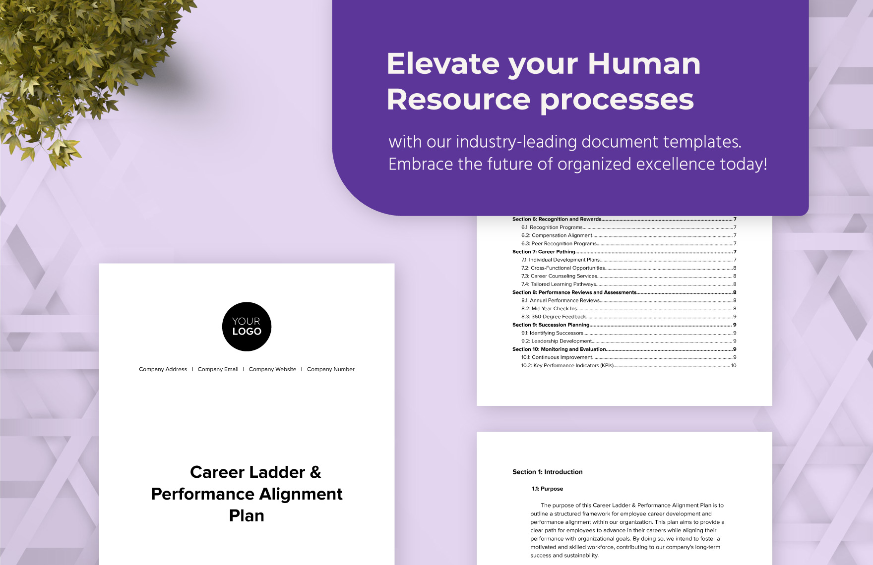 Career Ladder & Performance Alignment Plan HR Template