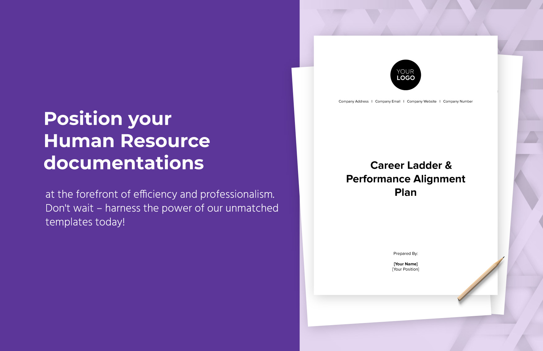 Career Ladder & Performance Alignment Plan HR Template