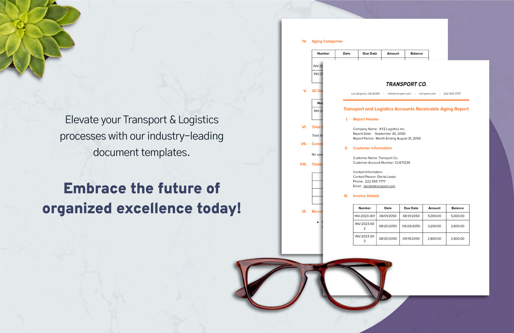 Transport and Logistics Deployment Plan Template