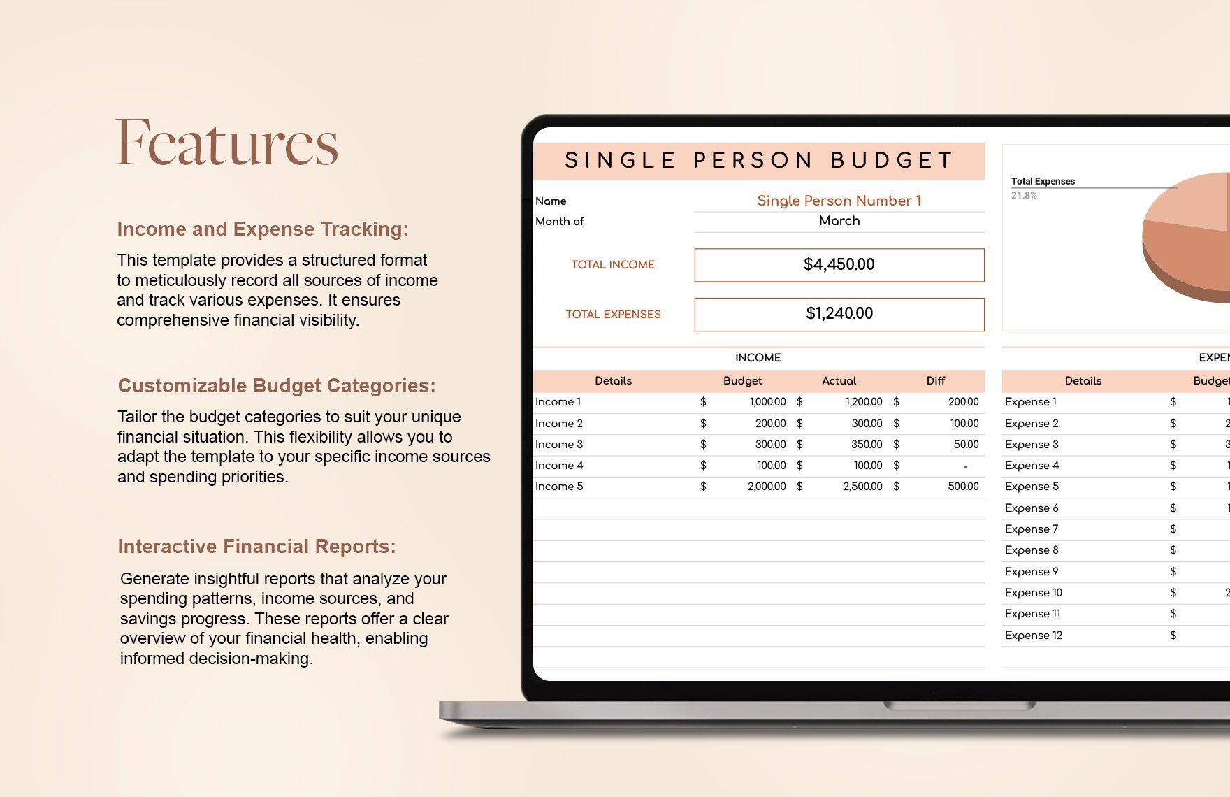 Single Person Budget Template
