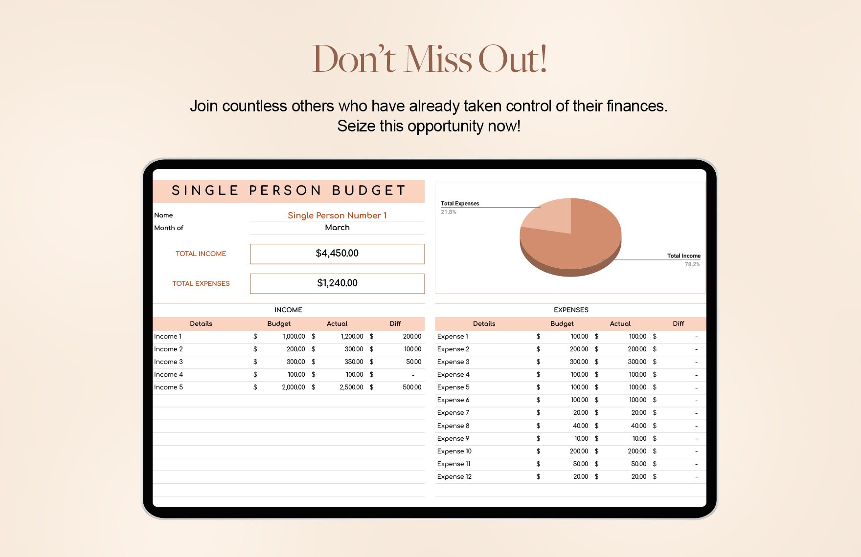 Single Person Budget Template