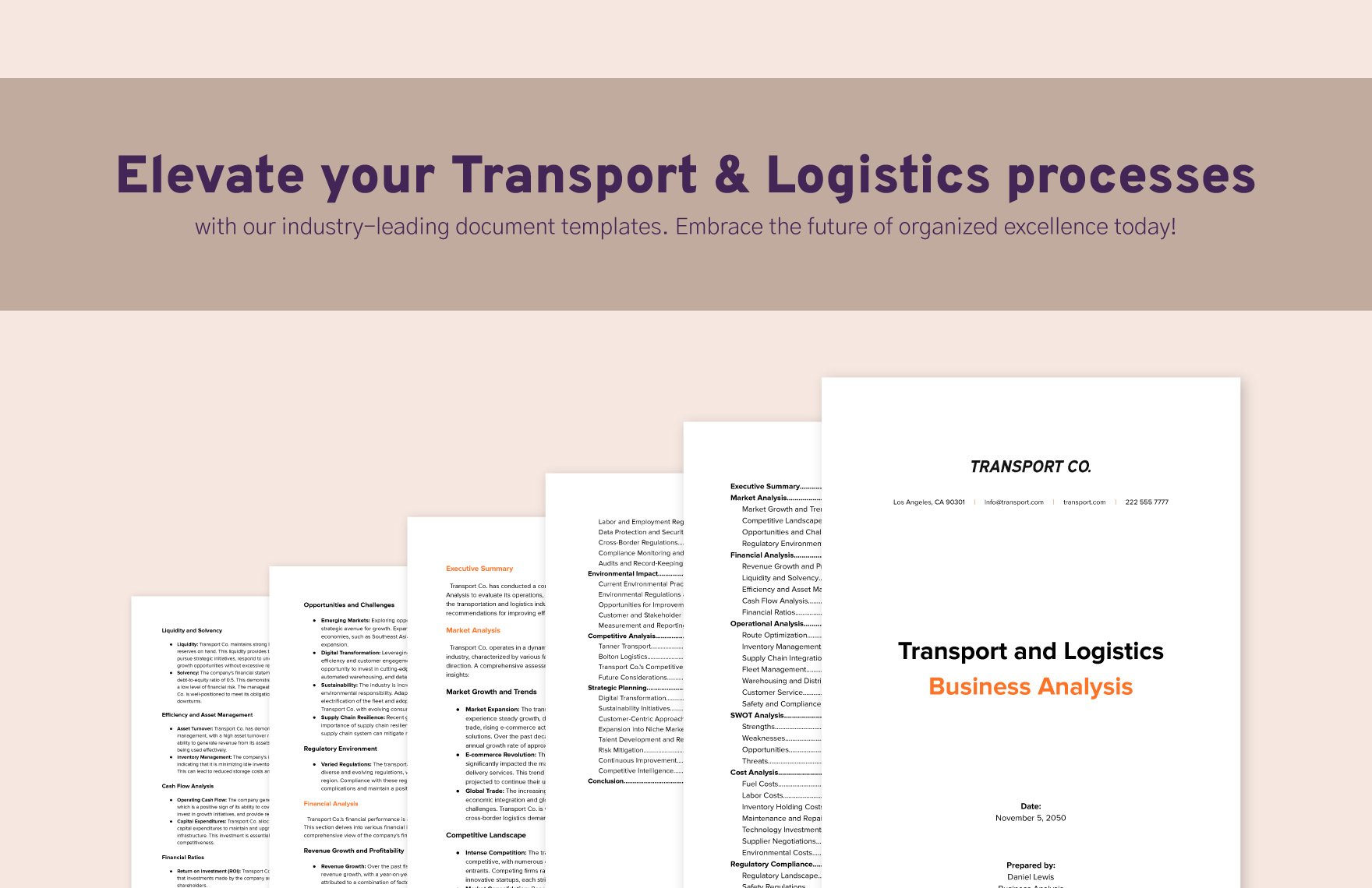 Transport and Logistics Business Analysis Template