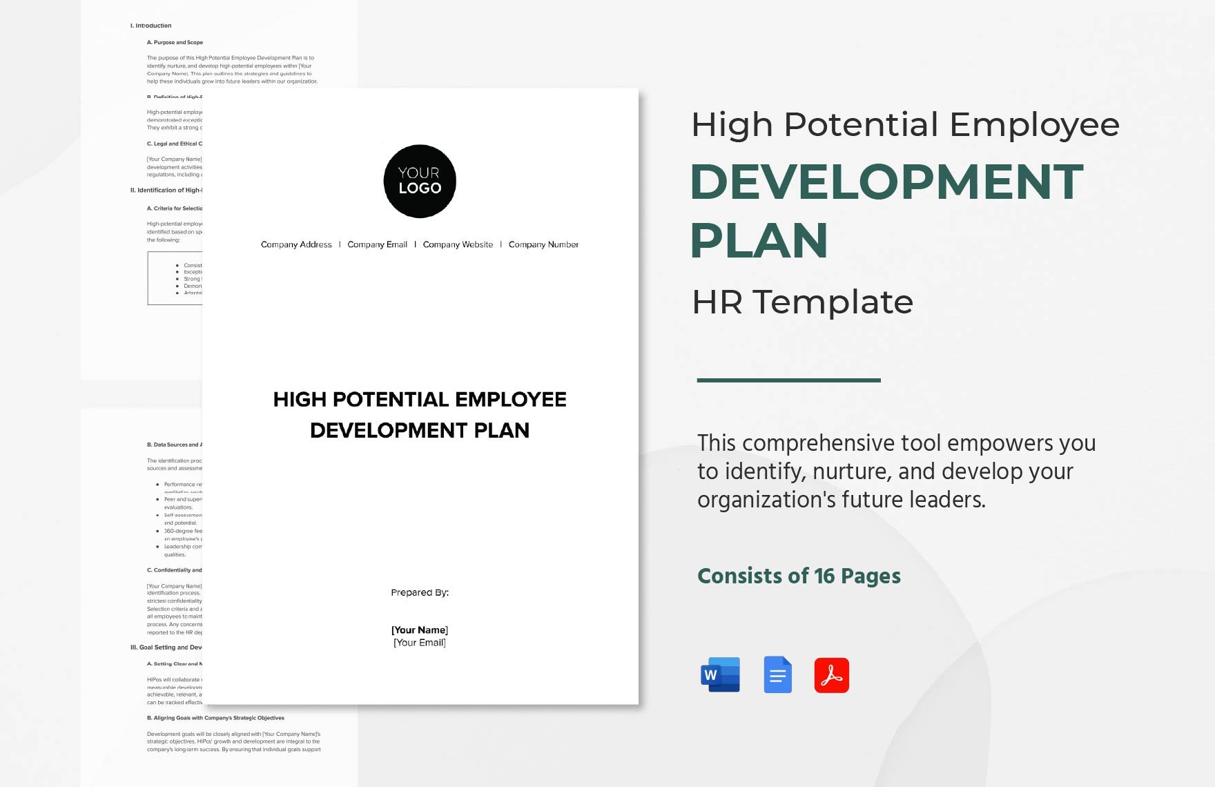 High Potential Employee Development Plan HR Template