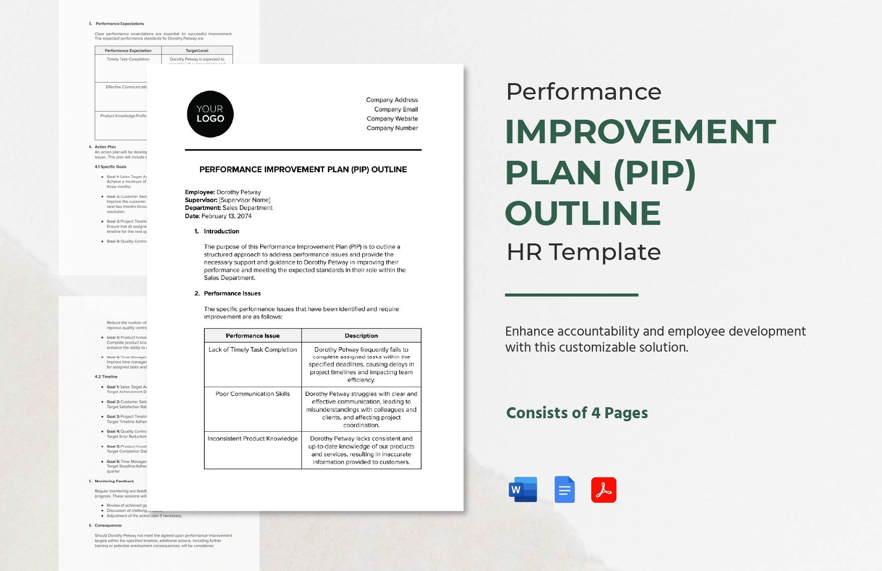 Performance Improvement Plan (PIP) Outline HR Template in Word, Google Docs, PDF