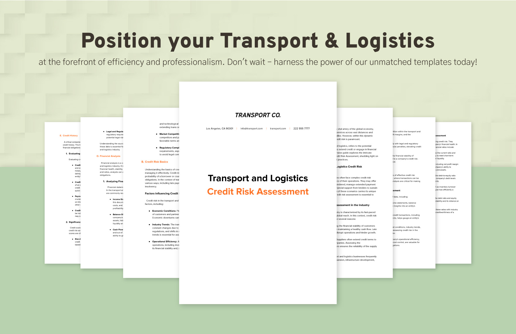 Transport and Logistics Credit Risk Assessment Template