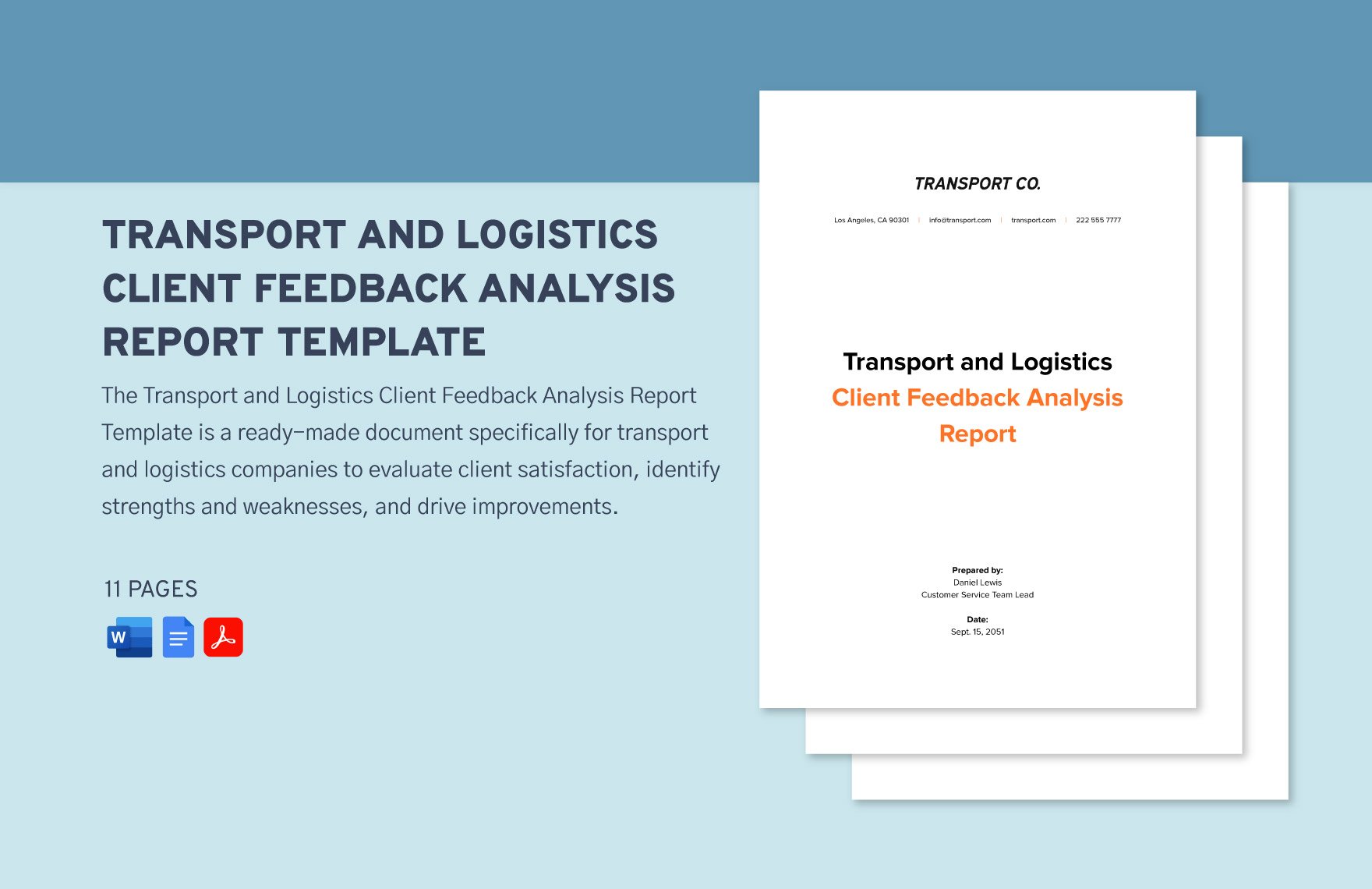Transport and Logistics Client Feedback Analysis Report Template