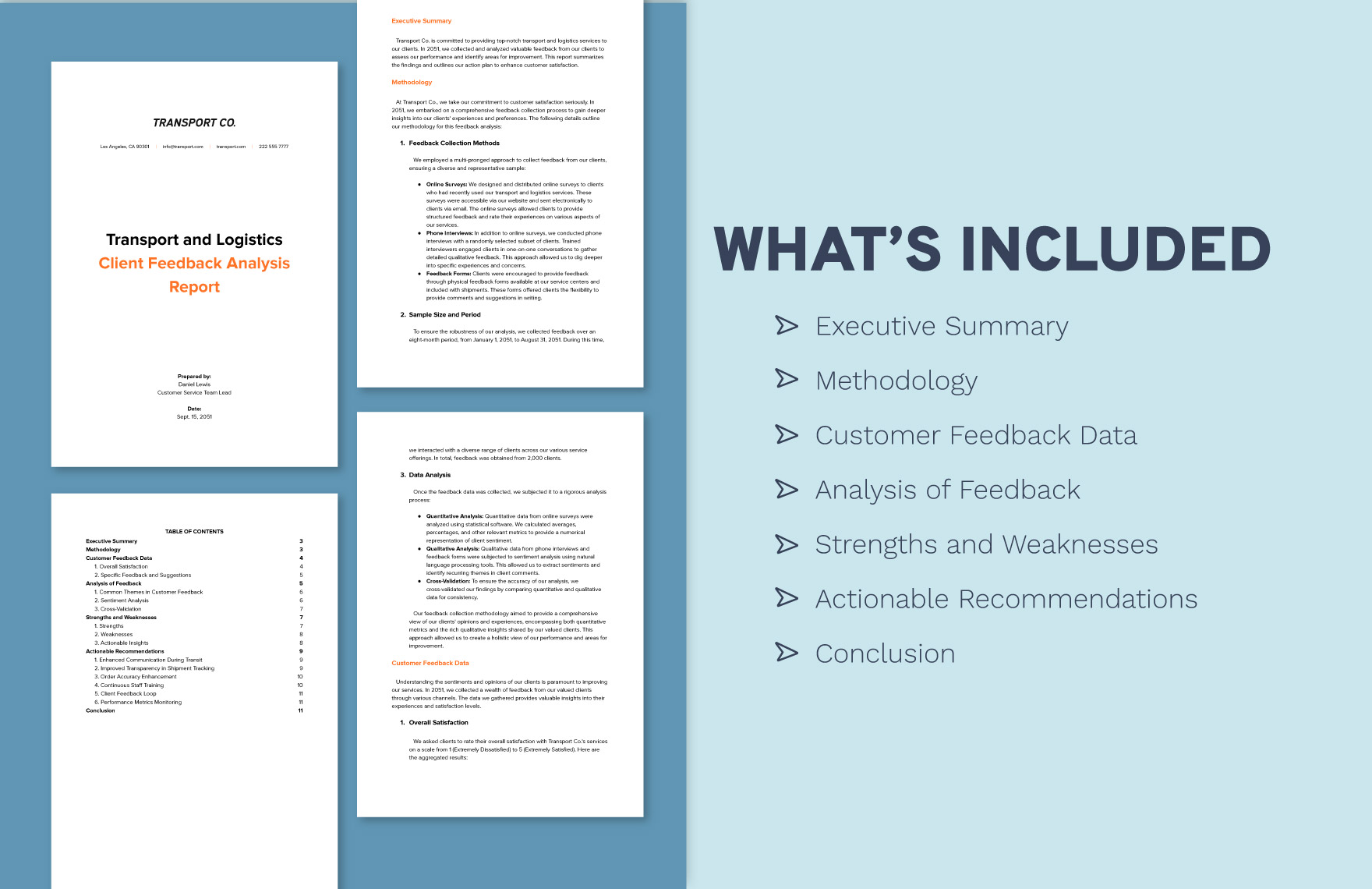 Transport and Logistics Client Feedback Analysis Report Template