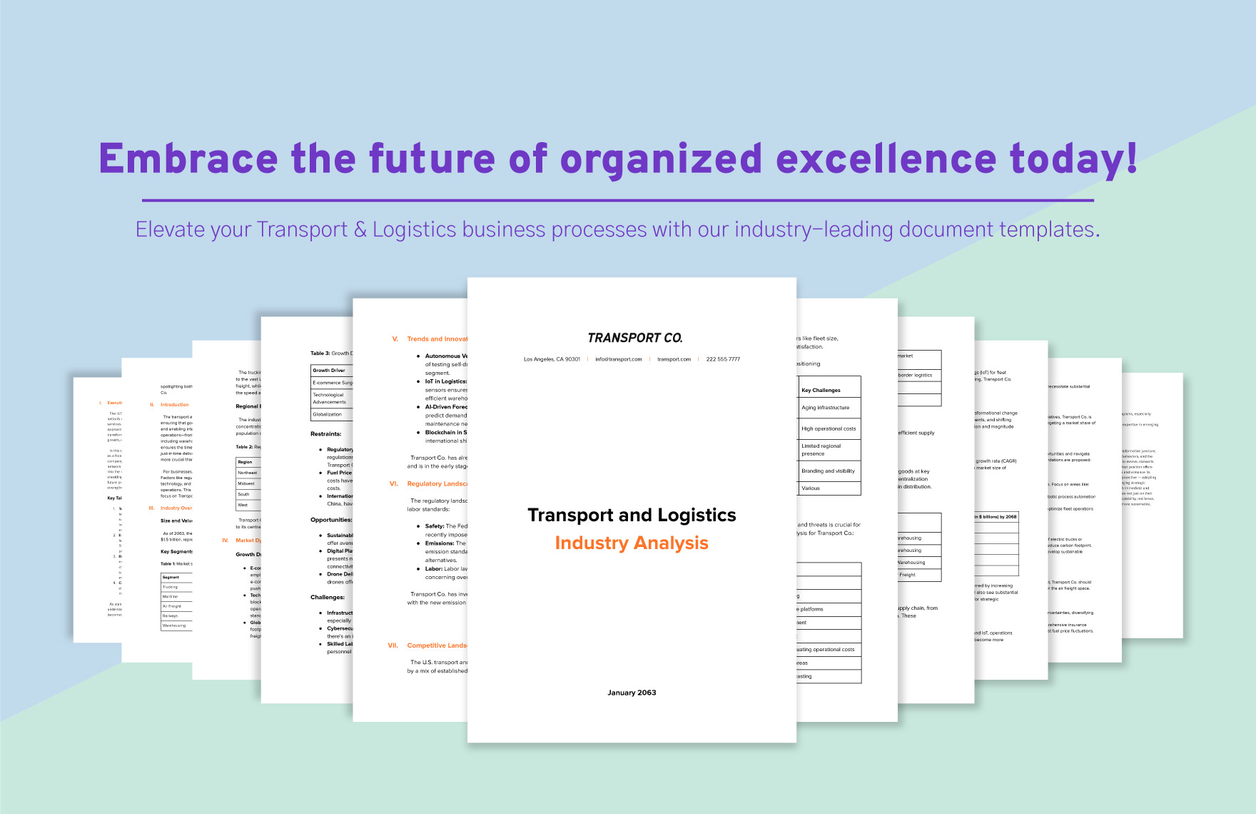 Transport and Logistics Industry Analysis Template