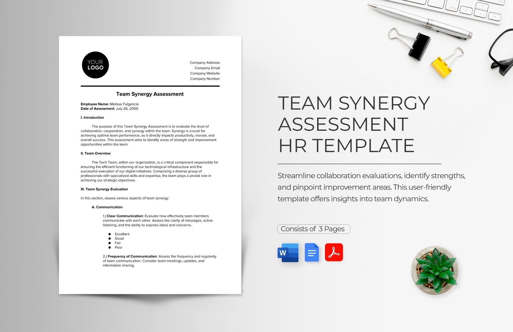 Team Synergy Assessment HR Template