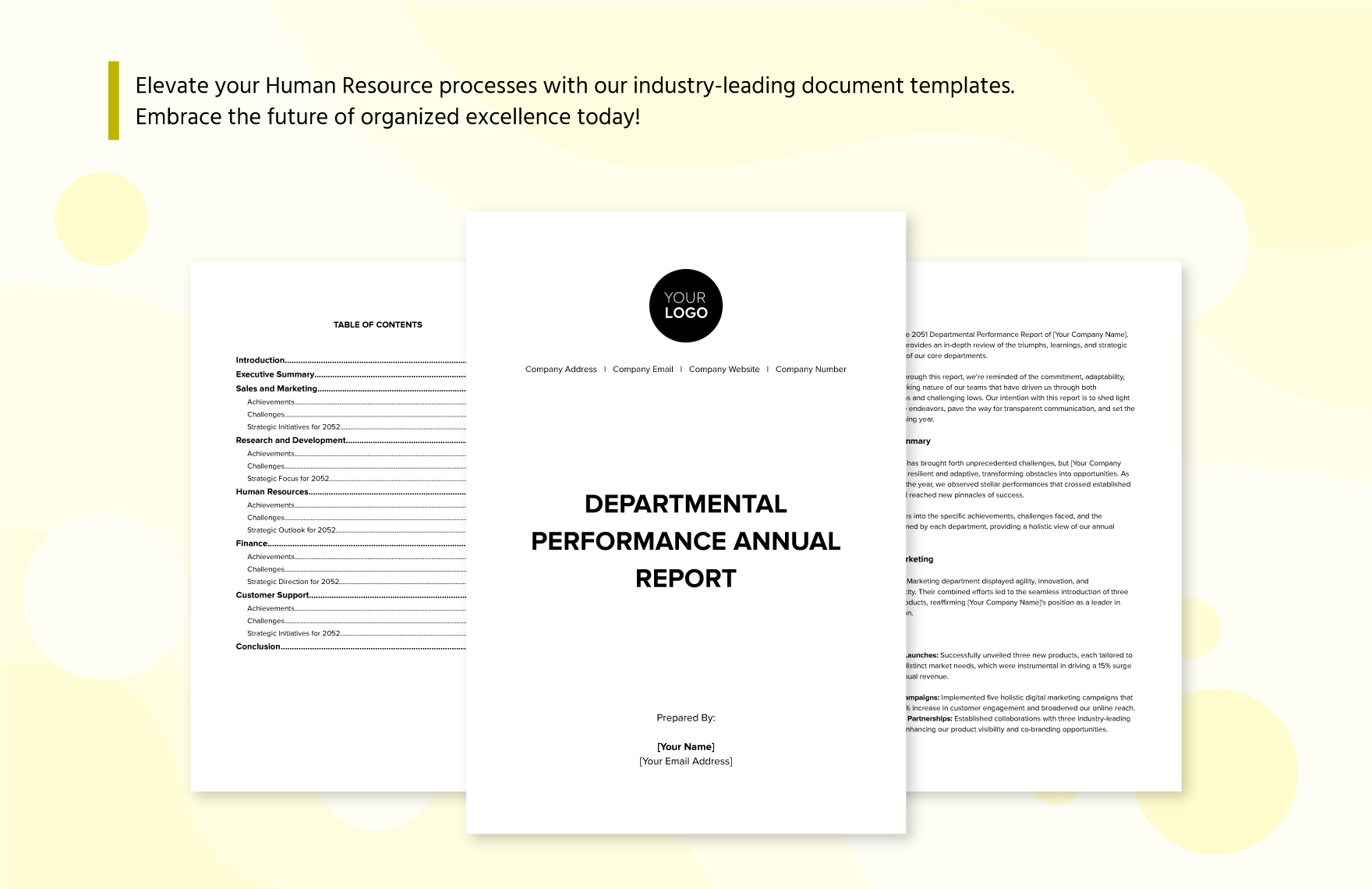 Departmental Performance Annual Report HR Template