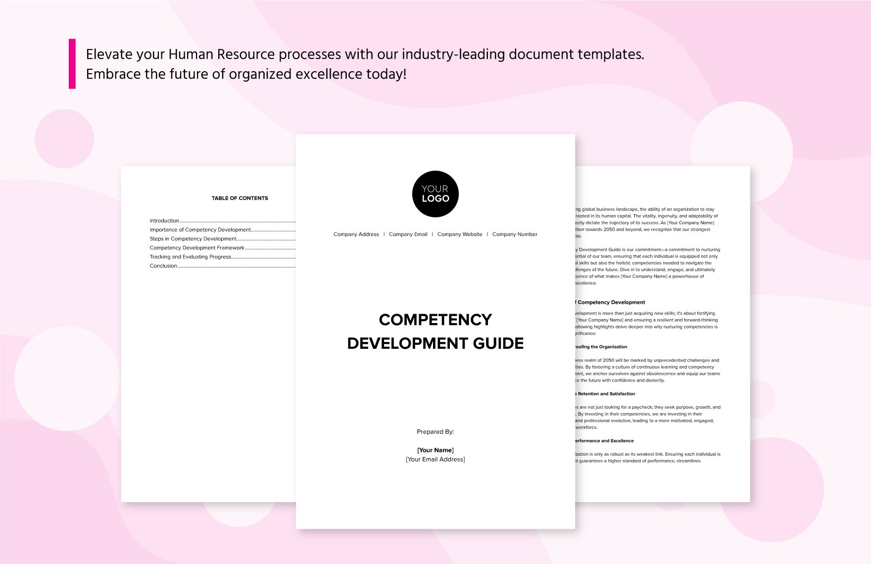 Competency Development Guide HR Template