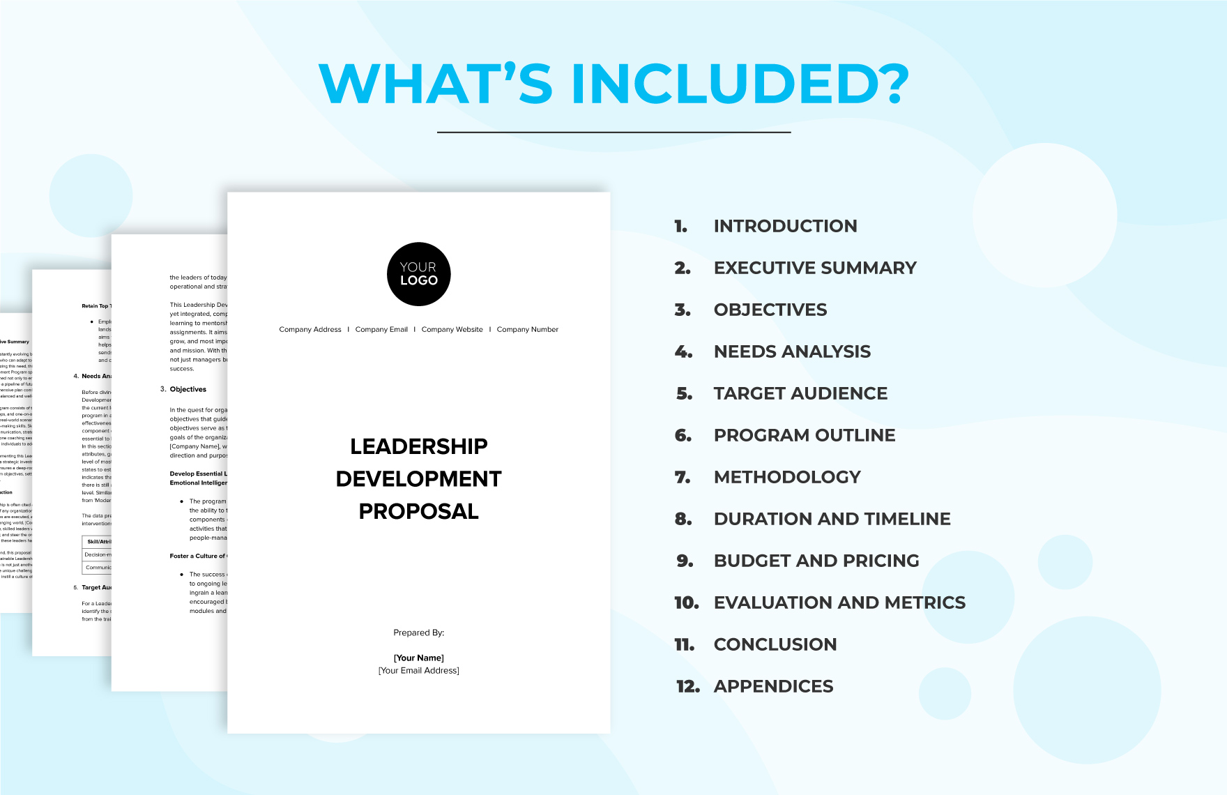 Leadership Development Proposal HR Template