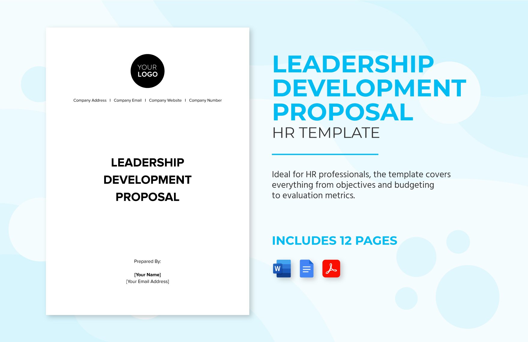 Leadership Development Proposal HR Template