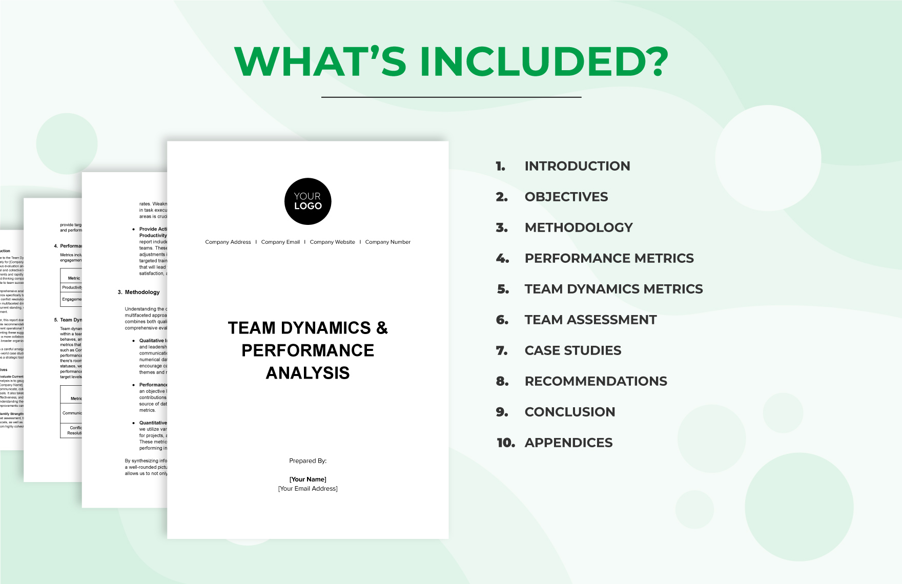 Team Dynamics & Performance Analysis HR Template