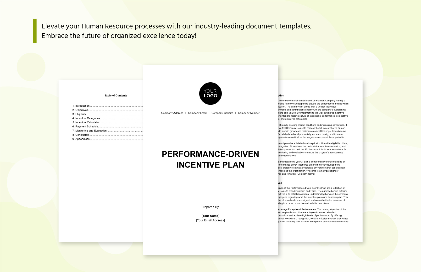 Performance-driven Incentive Plan HR Template