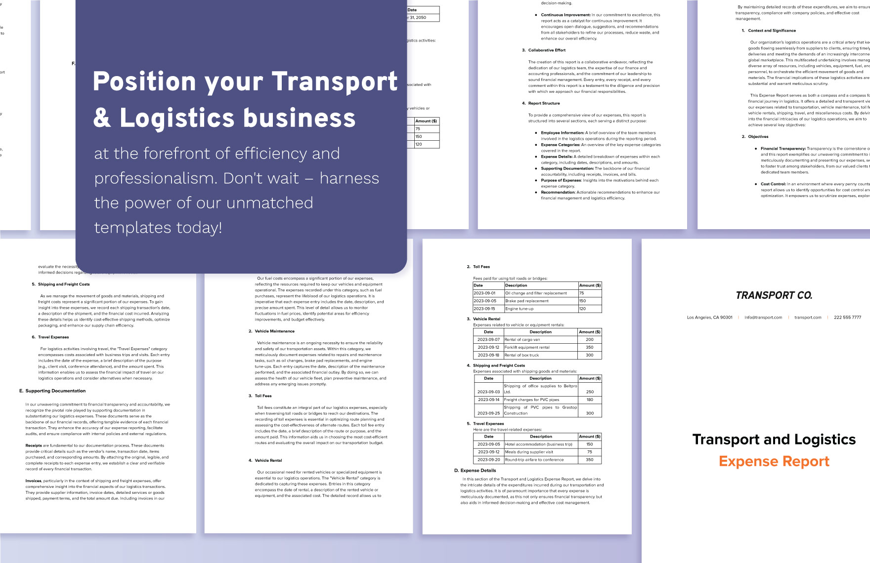 Transport and Logistics Expense Report Template