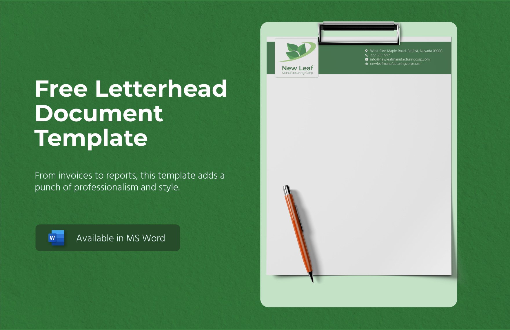 Letterhead Document Template