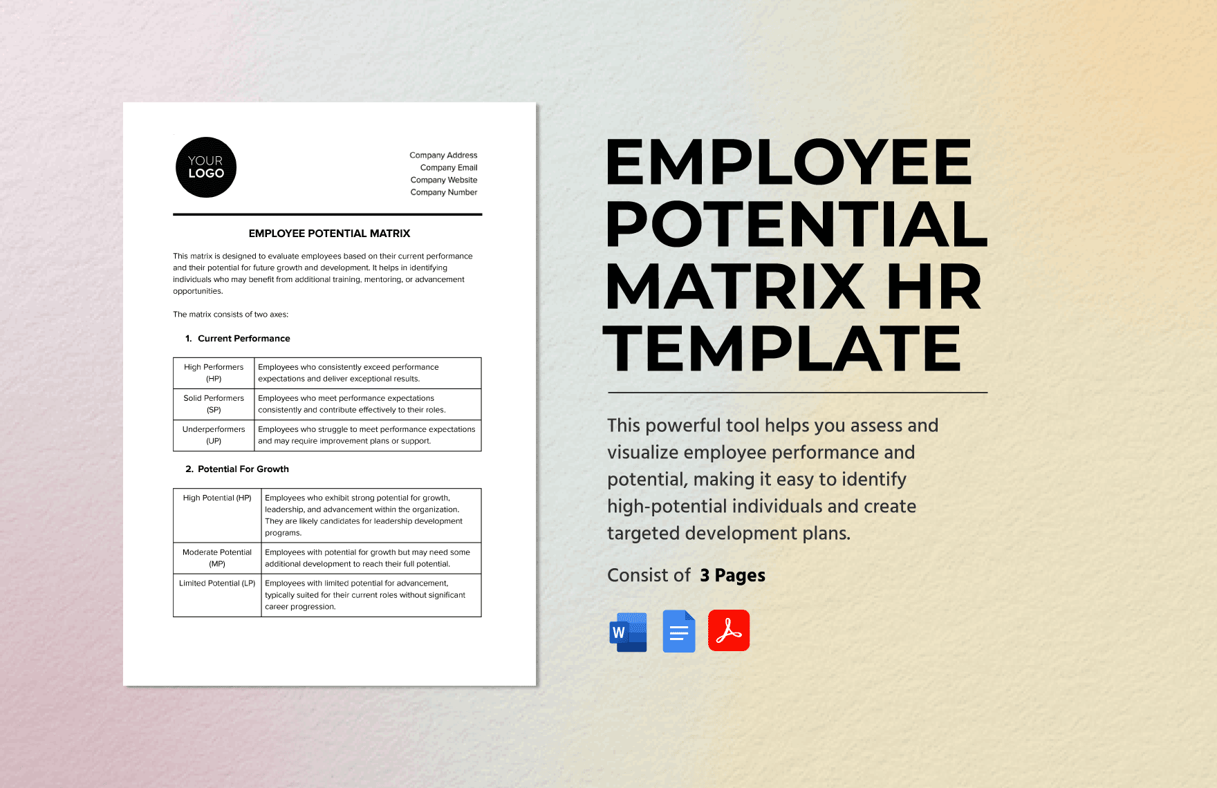 Employee Potential Matrix HR Template