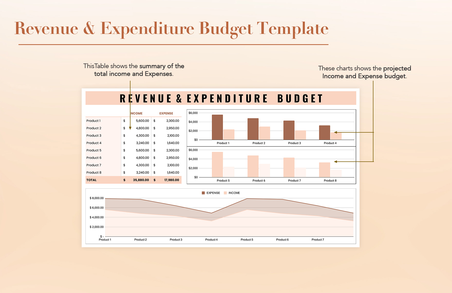 Revenue & Expenditure Budget Template