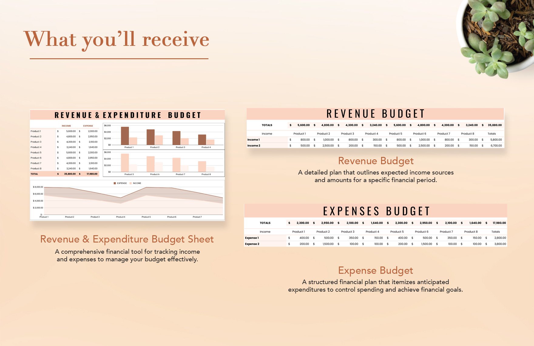 Revenue & Expenditure Budget Template