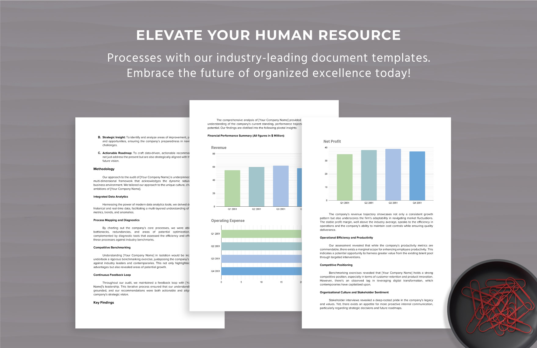 Comprehensive Performance Audit Recommendations Report HR Template