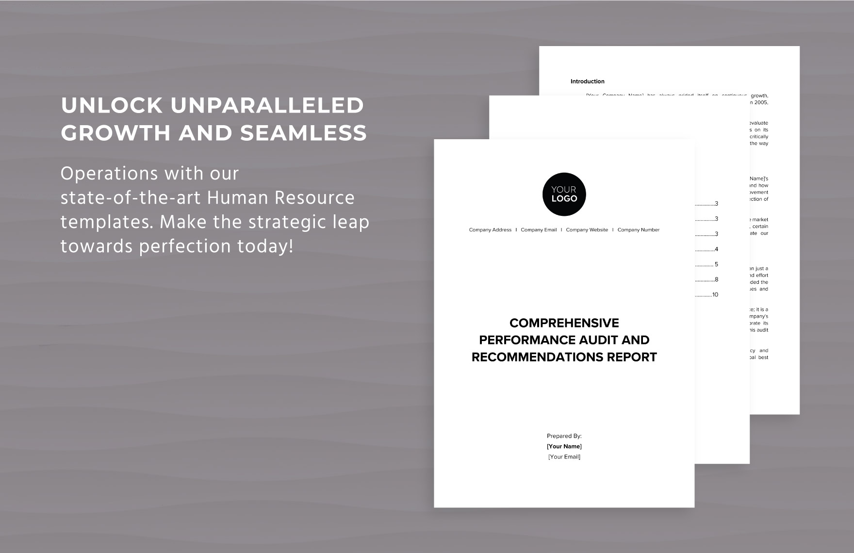Comprehensive Performance Audit Recommendations Report HR Template