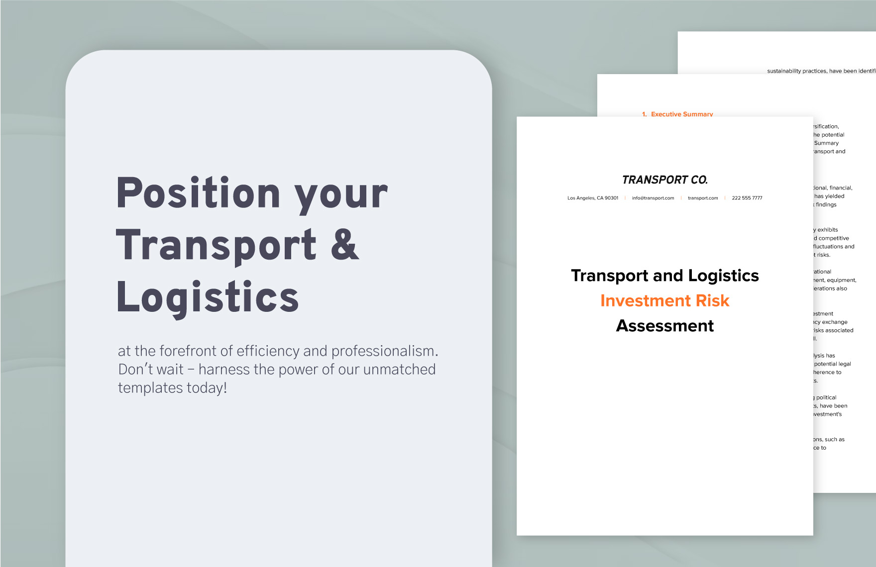 Transport and Logistics Investment Risk Assessment Template
