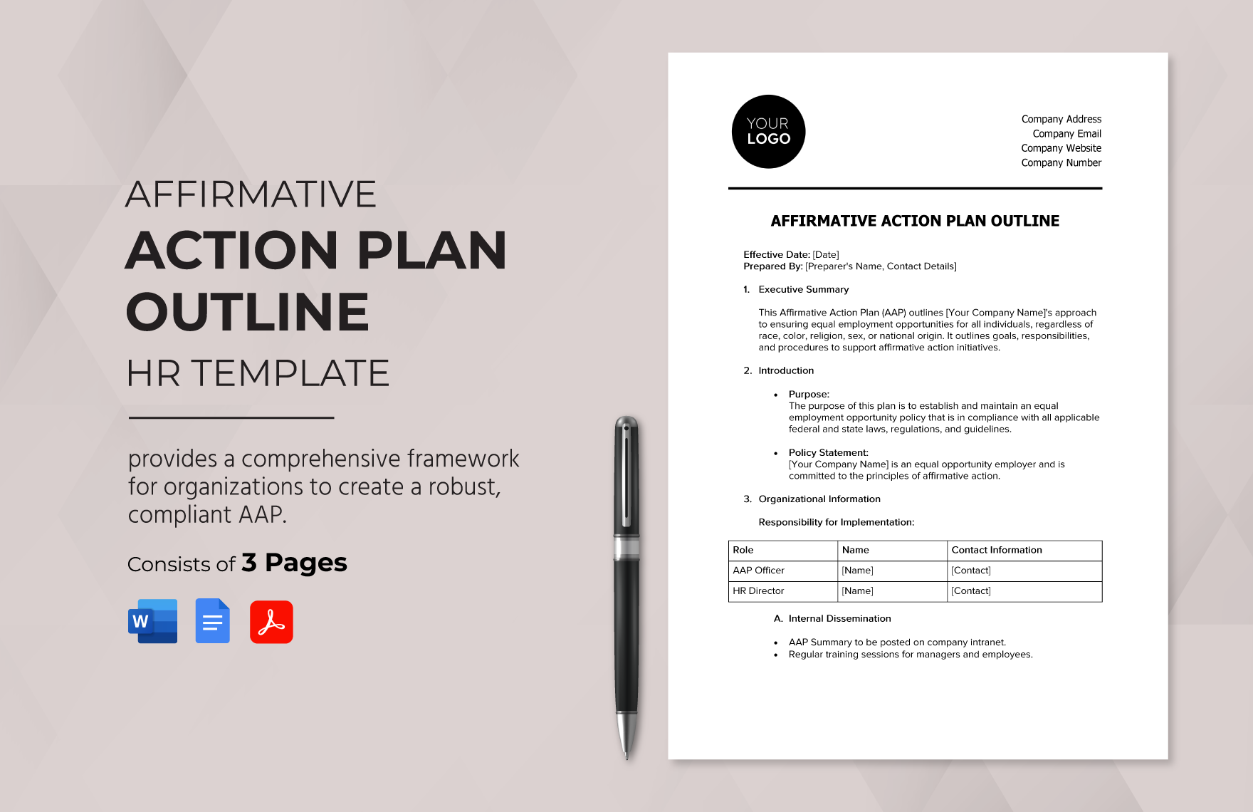 Affirmative Action Plan Outline HR Template
