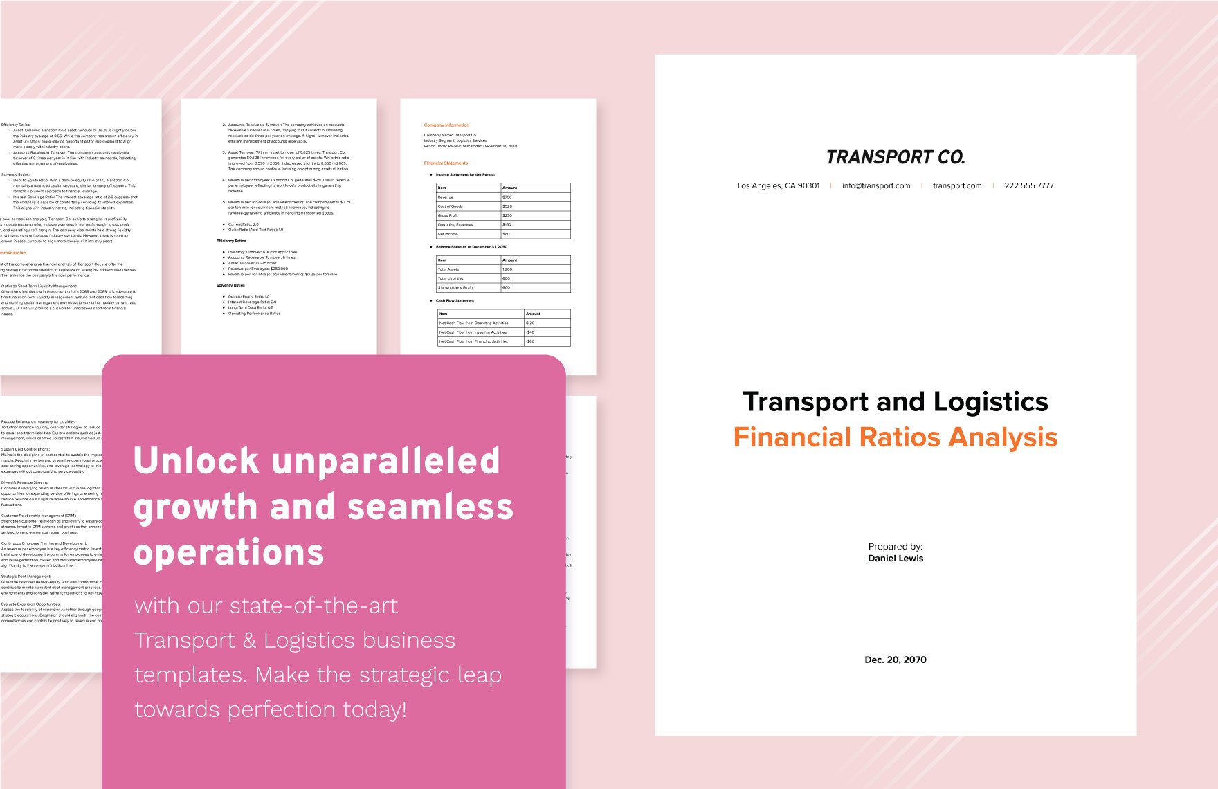 Transport and Logistics Financial Ratios Analysis Template
