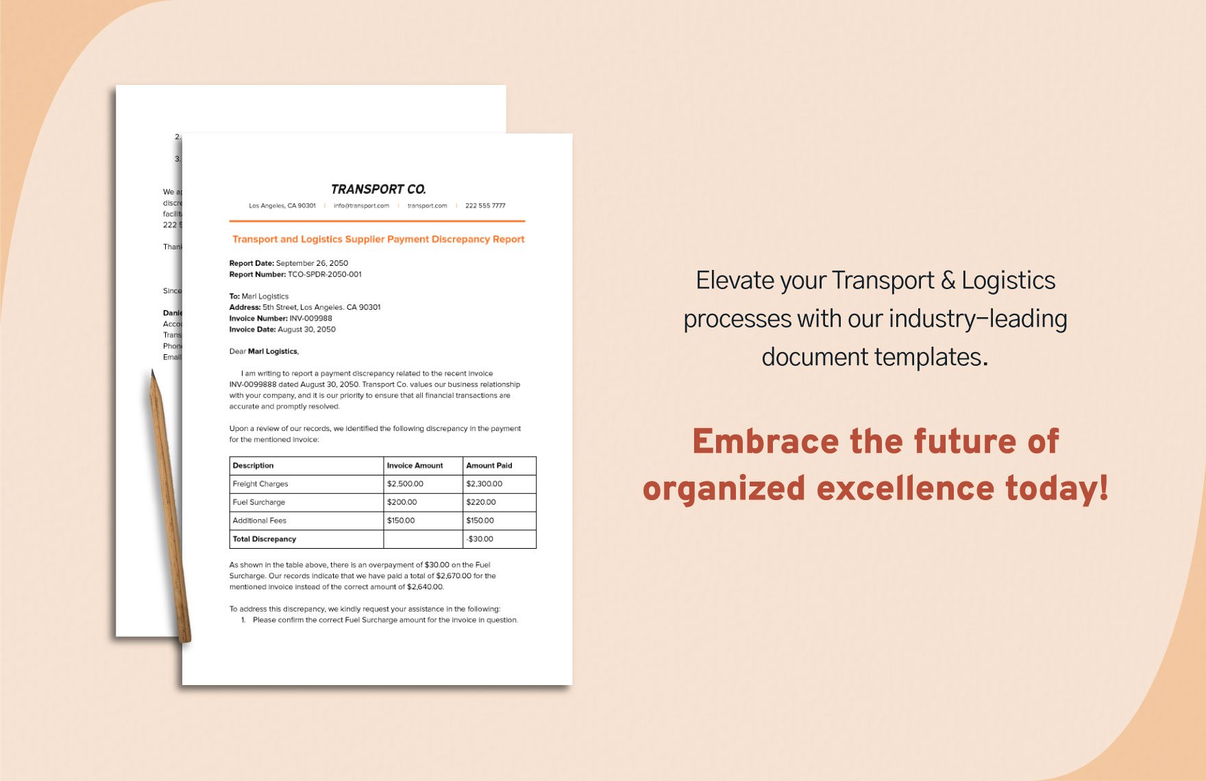 Transport and Logistics Supplier Payment Discrepancy Report Template