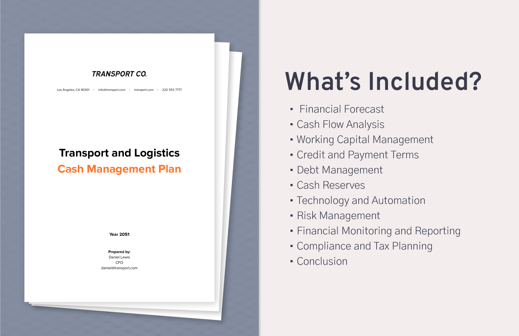 Transport and Logistics Cash Management Plan Template