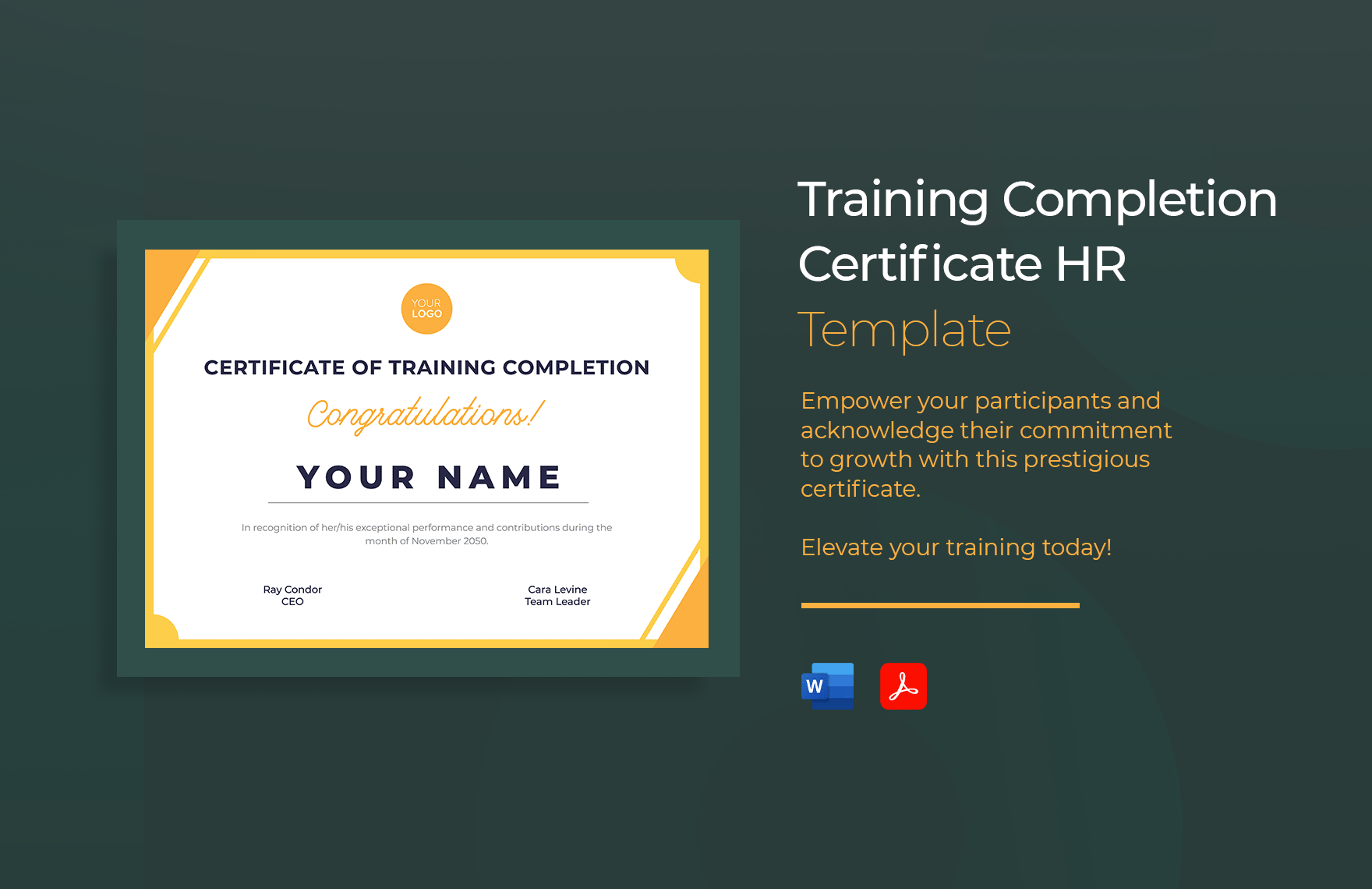 Training Completion Certificate HR Template