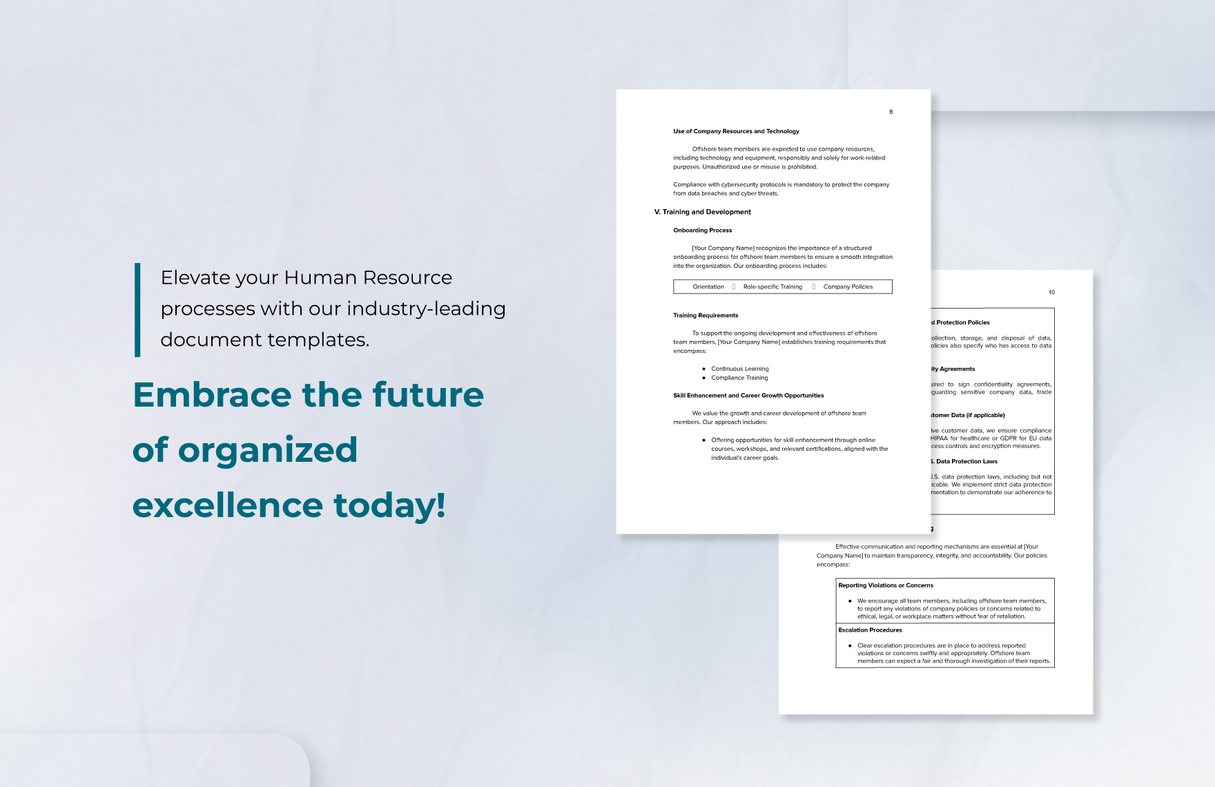 Offshore Team Compliance Document HR Template
