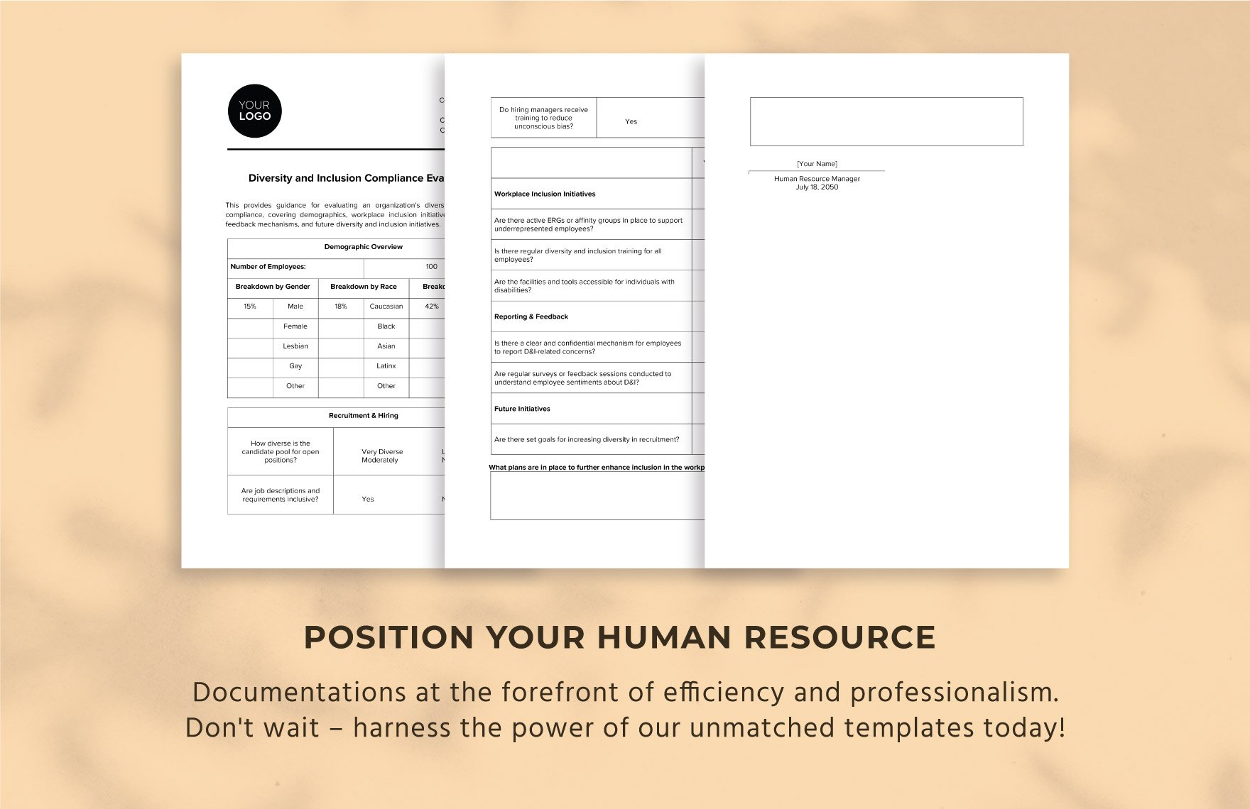 Diversity and Inclusion Compliance Evaluation HR Template