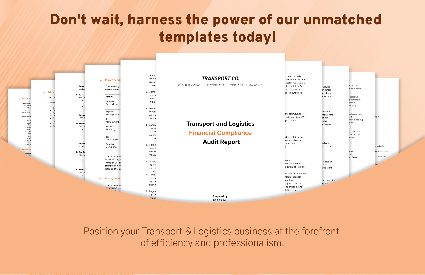 Transport and Logistics Financial Compliance Audit Report Template