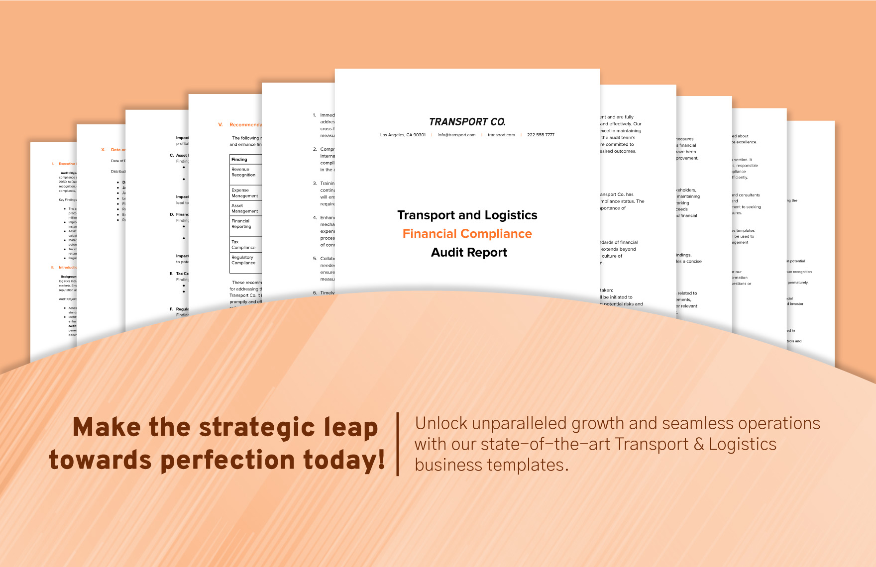 Transport and Logistics Financial Compliance Audit Report Template