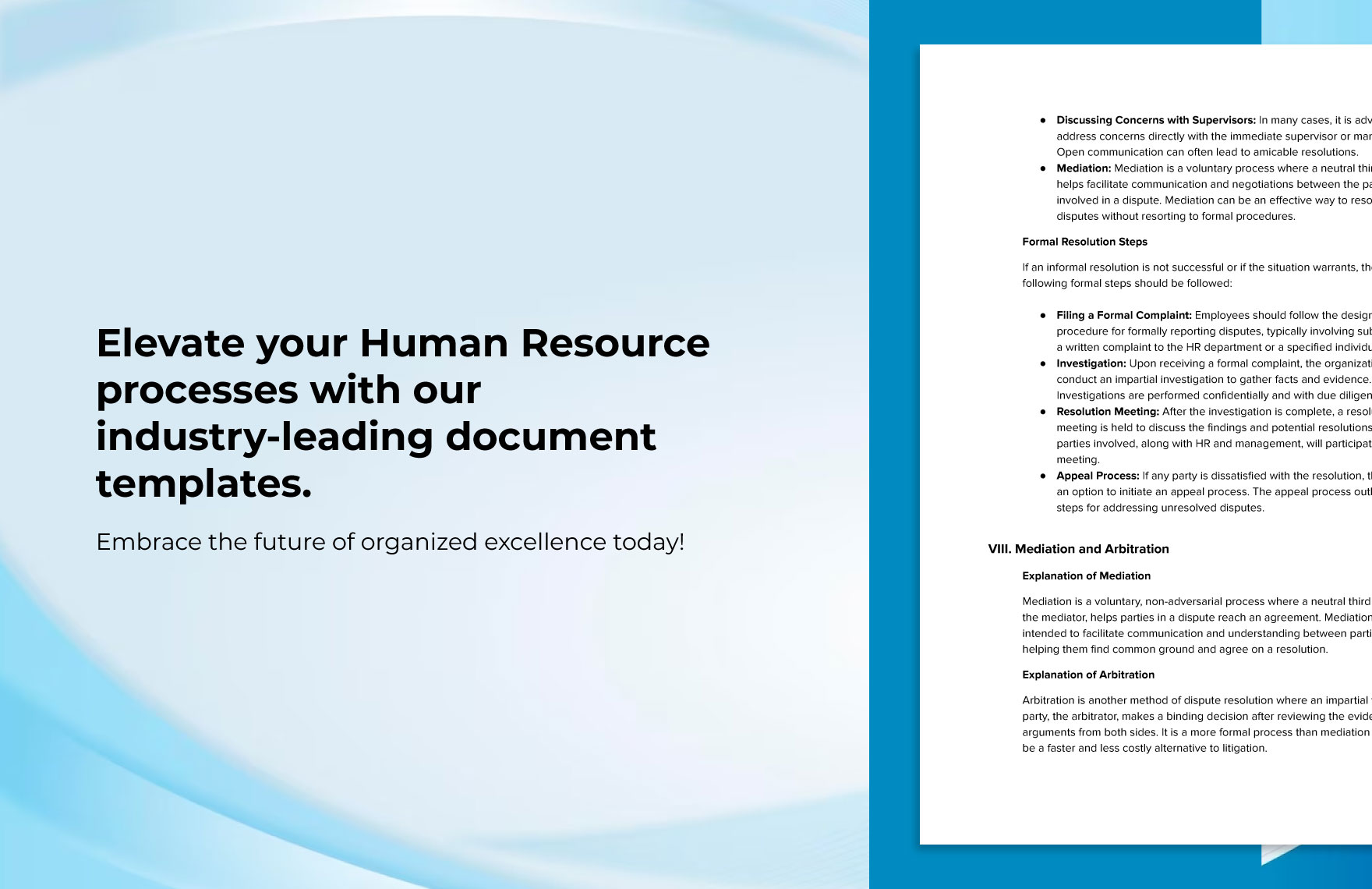 Employee Litigation and Dispute Resolution Handbook HR Template