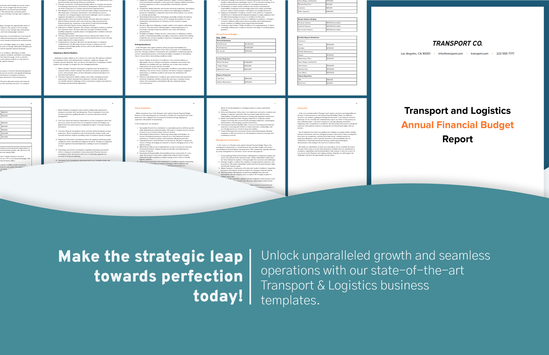 Transport and Logistics Annual Financial Budget Report Template